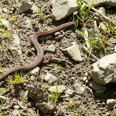 Rum i privatbostad Sol *