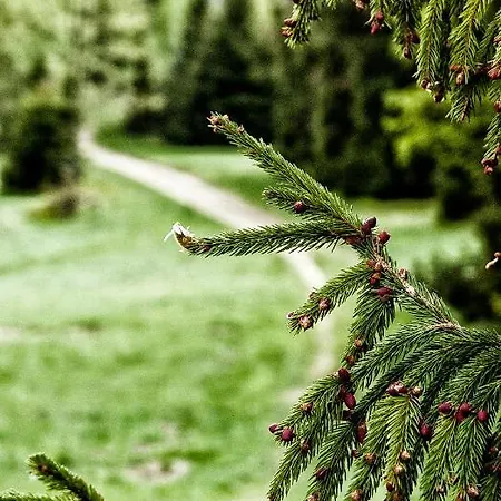 Sol Rum i privatbostad