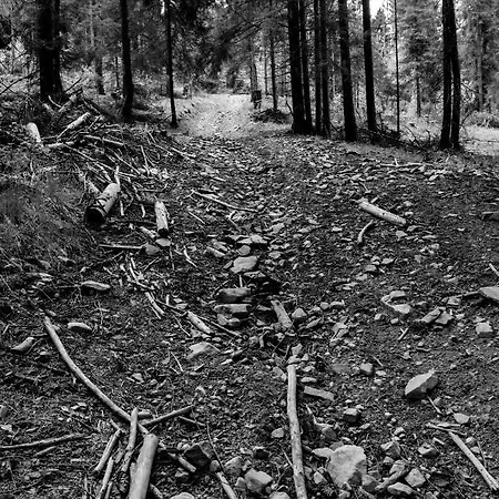 Kwatera prywatna Sol *