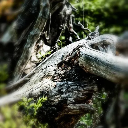 Sol Rum i privatbostad