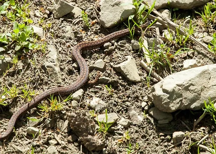 בית אירוח Sol *