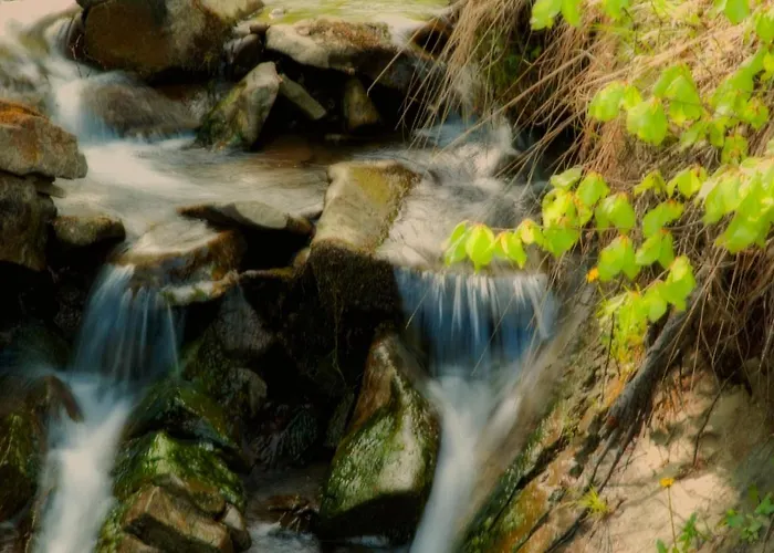 홈스테이 Sol 라이차