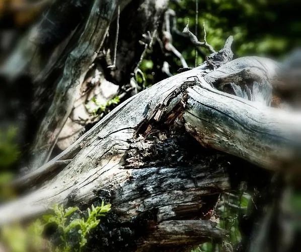 Sol בית אירוח