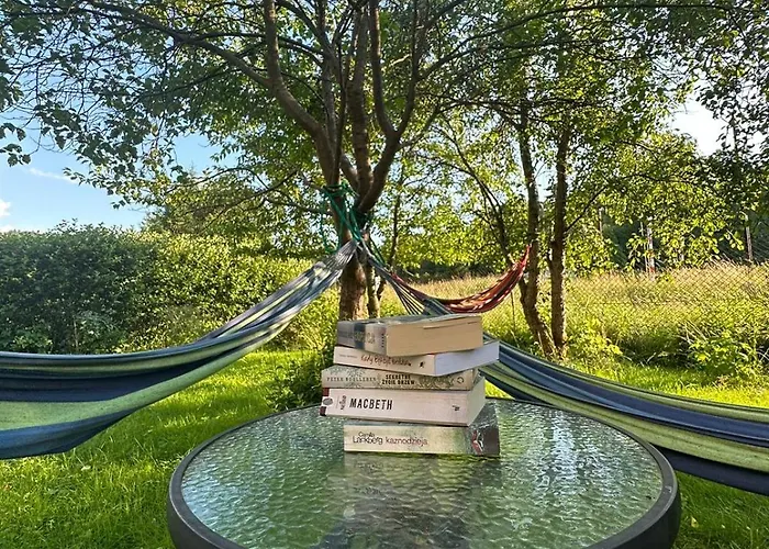 Sol 홈스테이 라이차